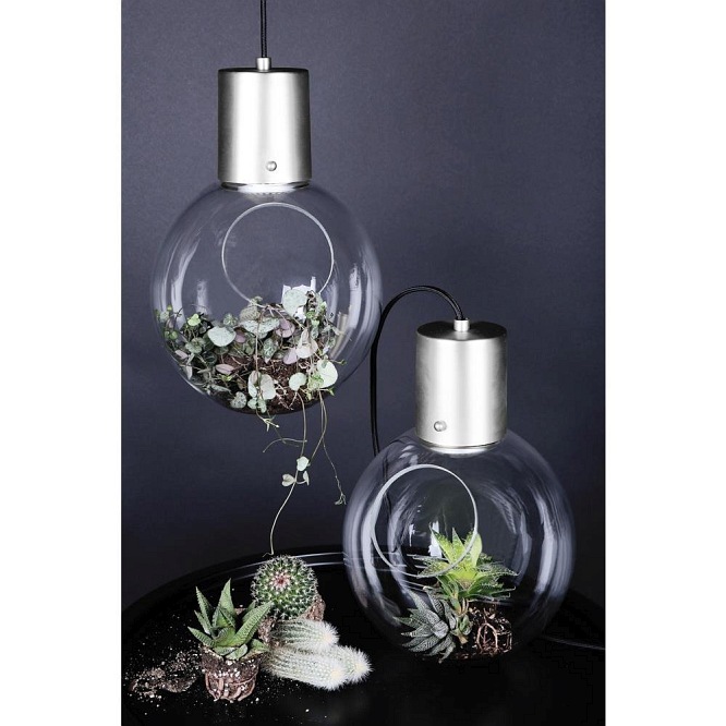 Lampa szklana dekoracyjna Hole srebrna z roślinami